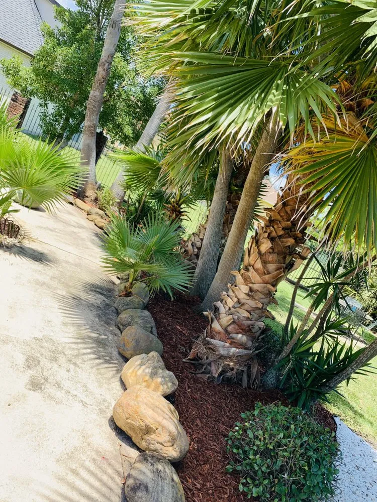 Expert outdoor landscaping for year-round maintenance across Madisonville, LA - Structure Ace