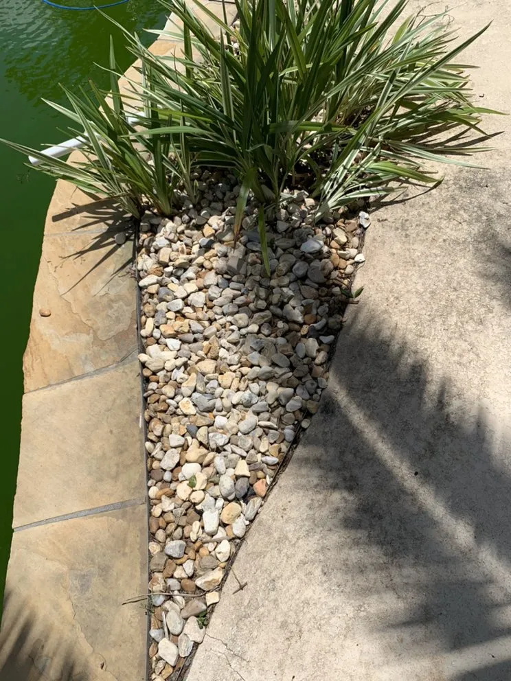 Top-rated lawn care service near you across Madisonville, LA - Structure Ace