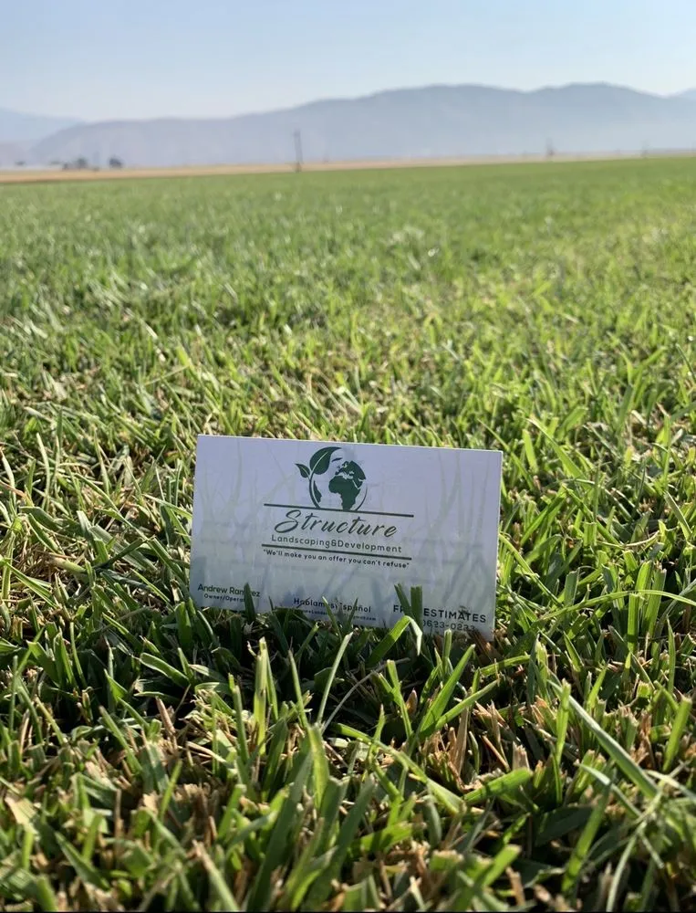 Local lawn care service in Riverside, CA by Structure Landscape & Irrigation