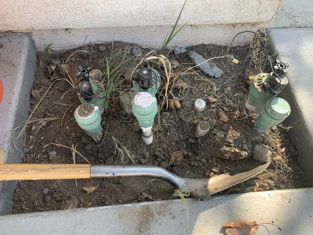 Reliable yard cleanup service for beautiful yards across Riverside, CA - Structure Landscape & Irrigation