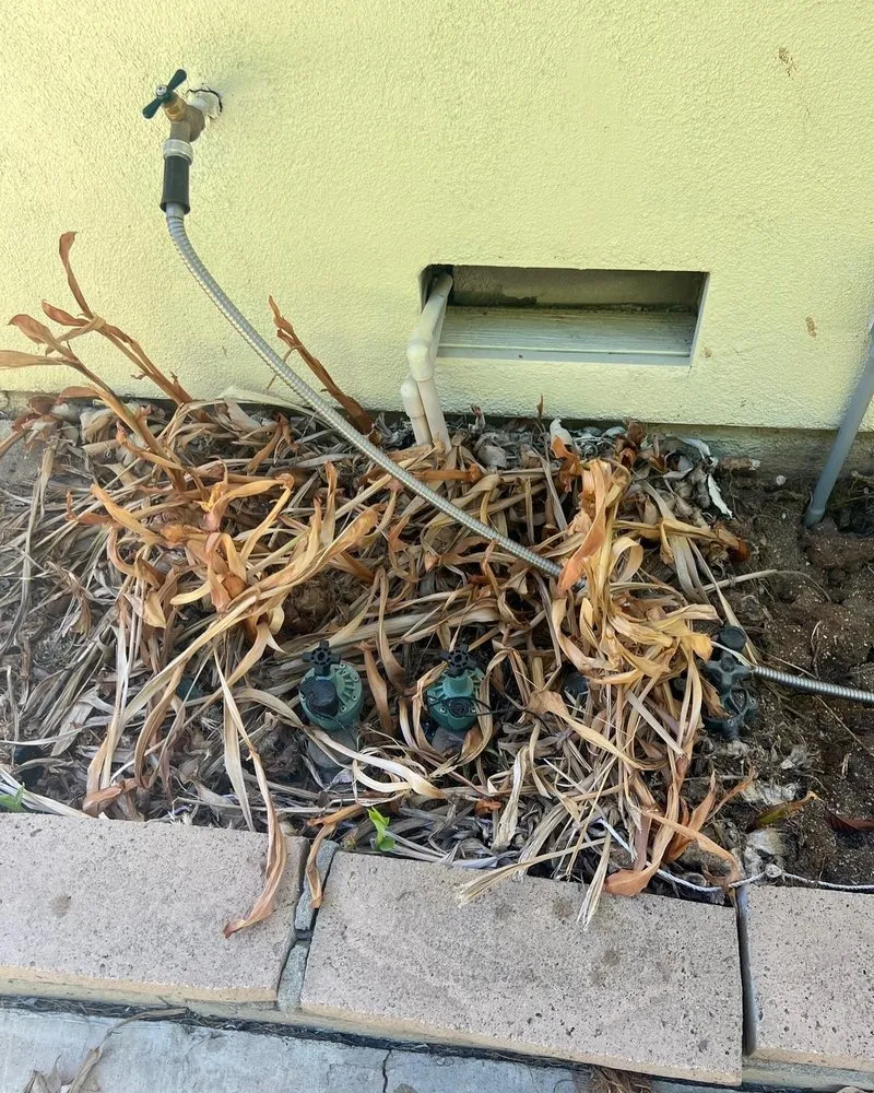 Top-rated landscape installation for outdoor upgrades in Riverside, CA by Structure Landscape & Irrigation