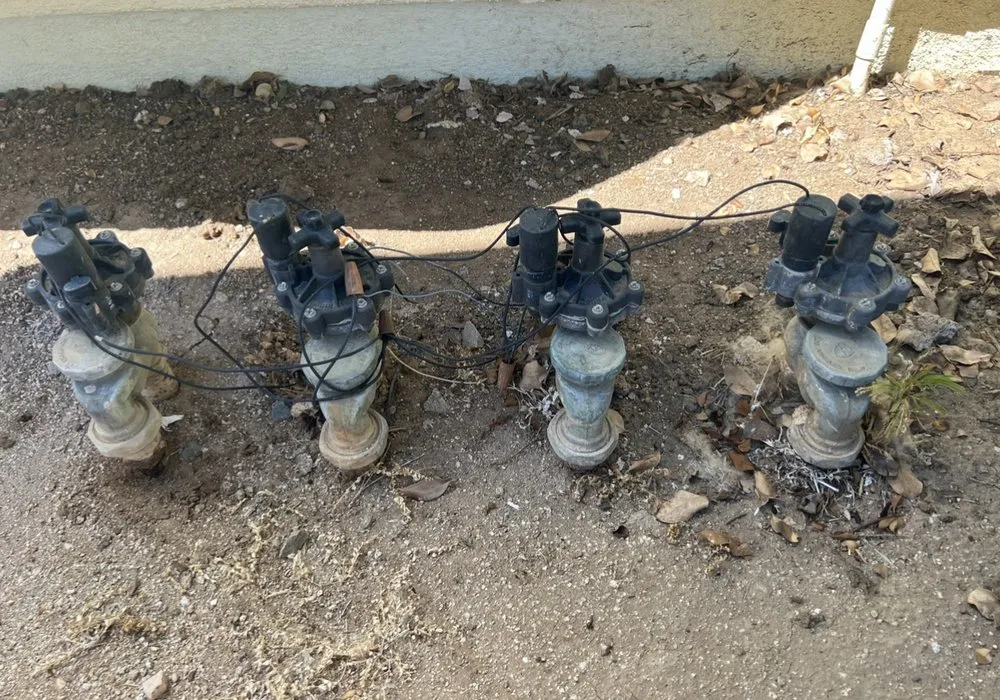 Local yard cleanup service in Riverside, CA by Structure Landscape & Irrigation