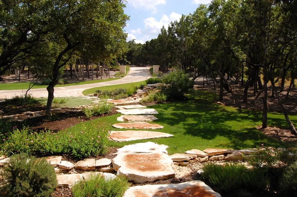 Local yard cleanup service with custom design in Austin, TX by Structure Landscapes