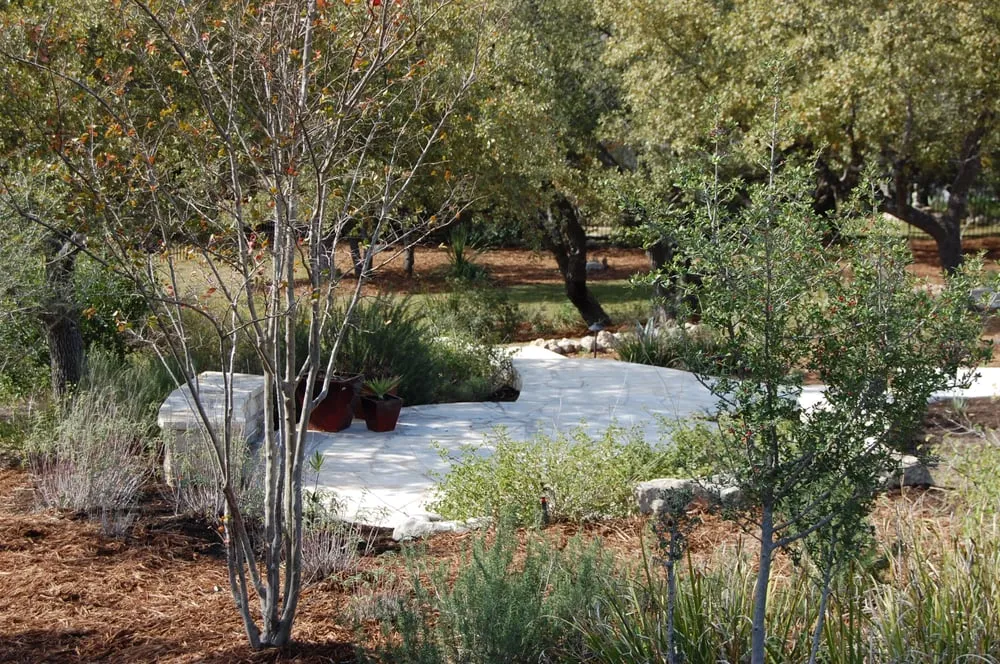 Affordable landscape design in Austin, TX - Structure Landscapes