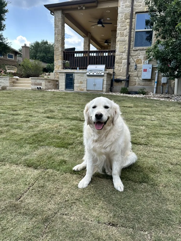 Local yard maintenance in Austin, TX - Structure Landscapes