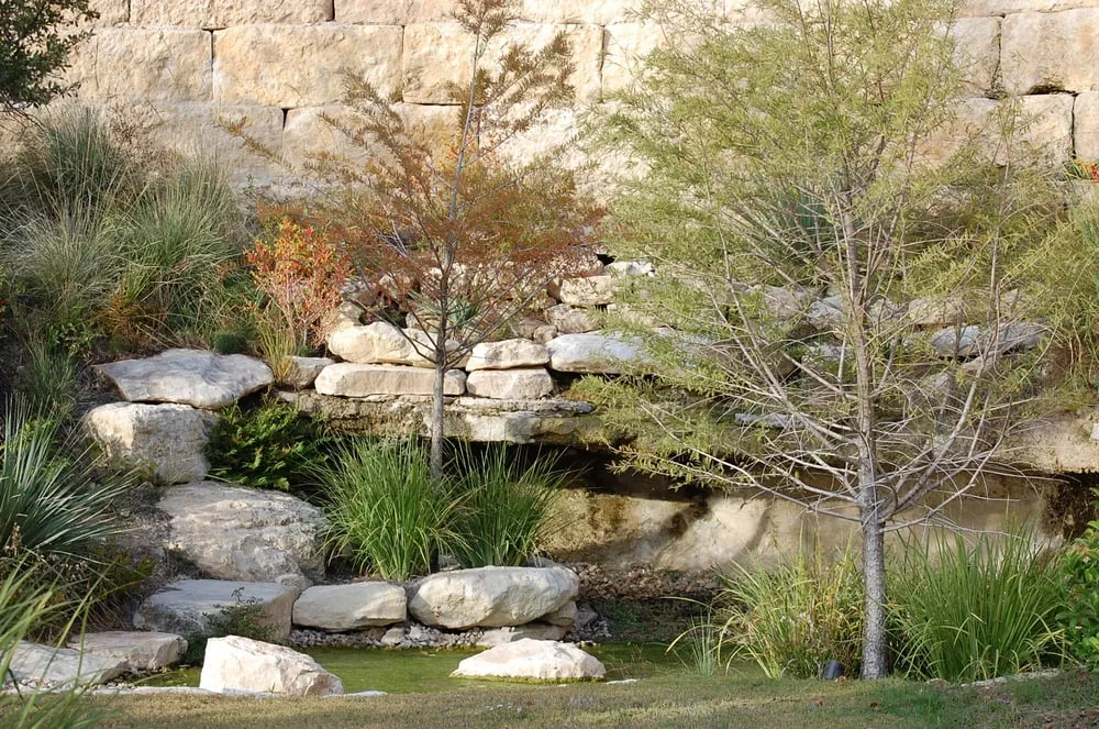 Professional landscaping services in Austin, TX - Structure Landscapes