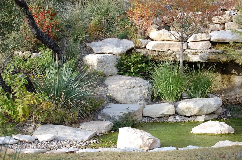 Professional yard cleanup service in Austin, TX - Structure Landscapes