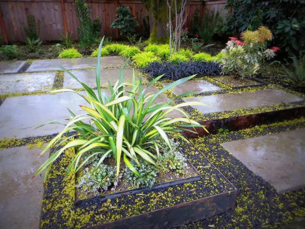 Reliable outdoor landscaping for beautiful yards in Portland, OR by Structure Landscapes NW