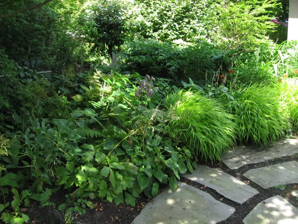 Custom residential landscaping in Portland, OR - Structure Landscapes NW
