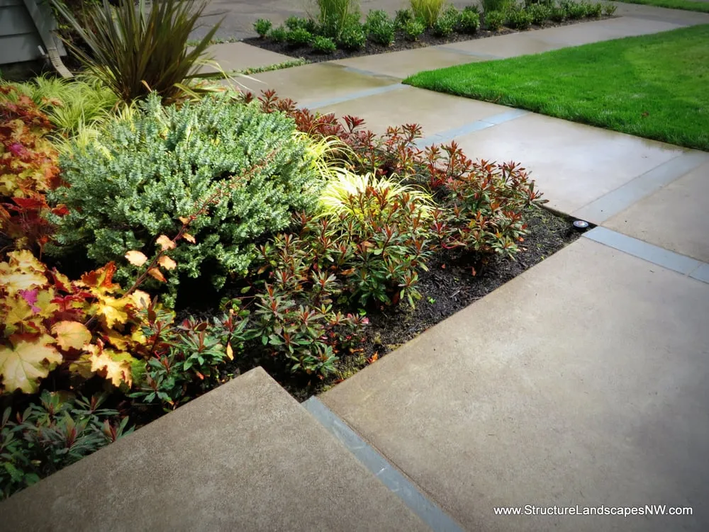 Professional yard cleanup service for outdoor upgrades across Portland, OR - Structure Landscapes NW
