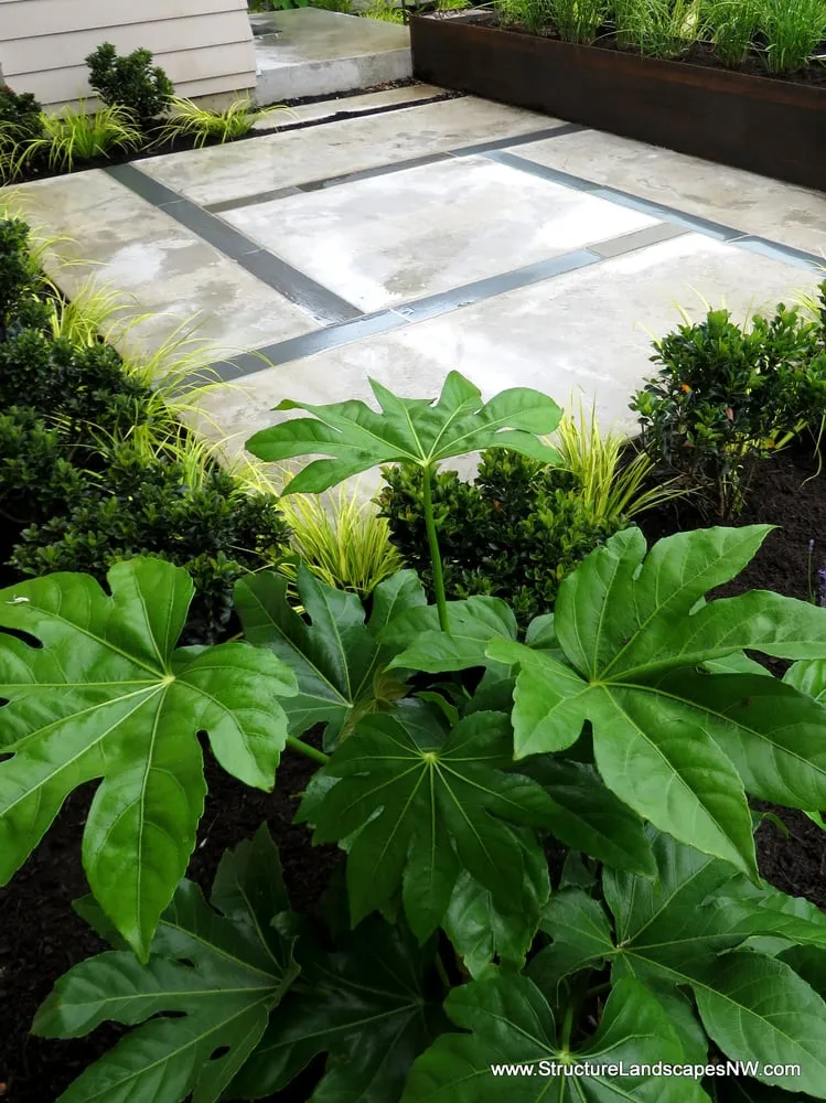 Affordable landscape installation for homes across Portland, OR - Structure Landscapes NW
