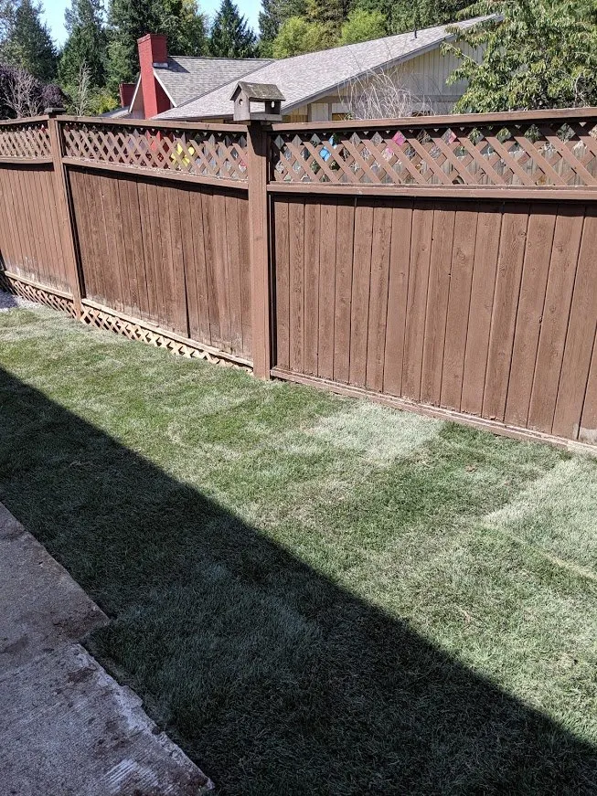 Reliable residential landscaping for beautiful yards across Lake Stevens, WA - Structured Landscape