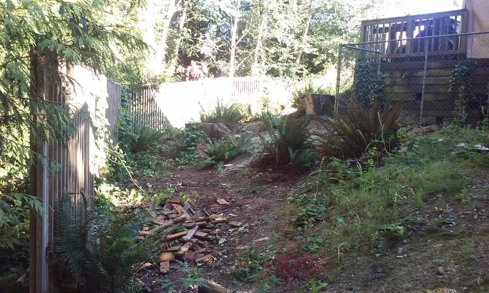 Trusted lawn mowing service near you across Lake Stevens, WA - Structured Landscape