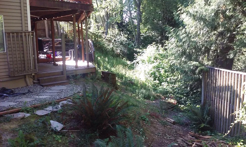 Affordable yard cleanup service in Lake Stevens, WA - Structured Landscape