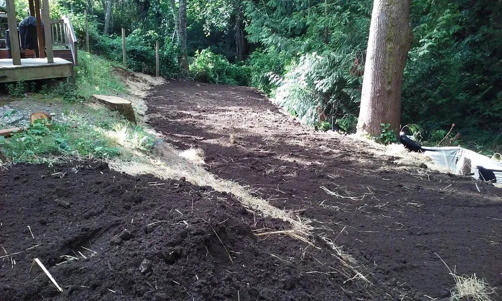 Reliable landscaping services in Lake Stevens, WA - Structured Landscape