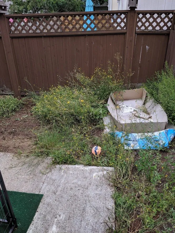 Local landscaping services experts serving Lake Stevens, WA - Structured Landscape