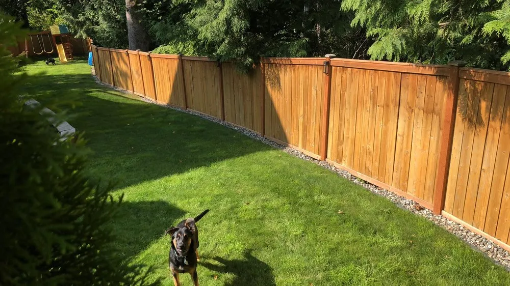 Reliable yard maintenance experts serving Lake Stevens, WA - Structured Landscape