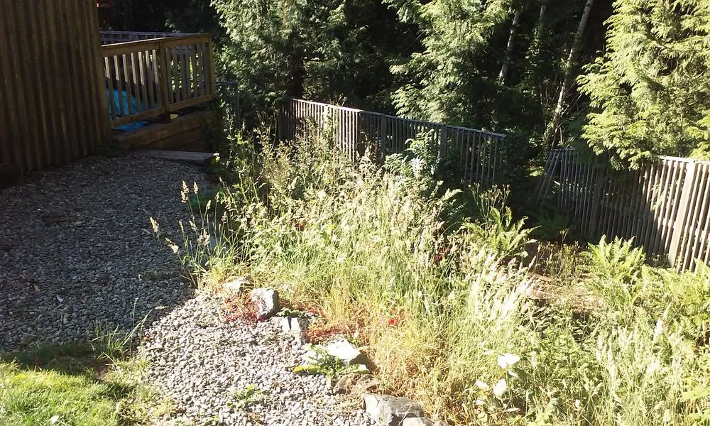 Affordable lawn mowing service for beautiful yards in Lake Stevens, WA by Structured Landscape