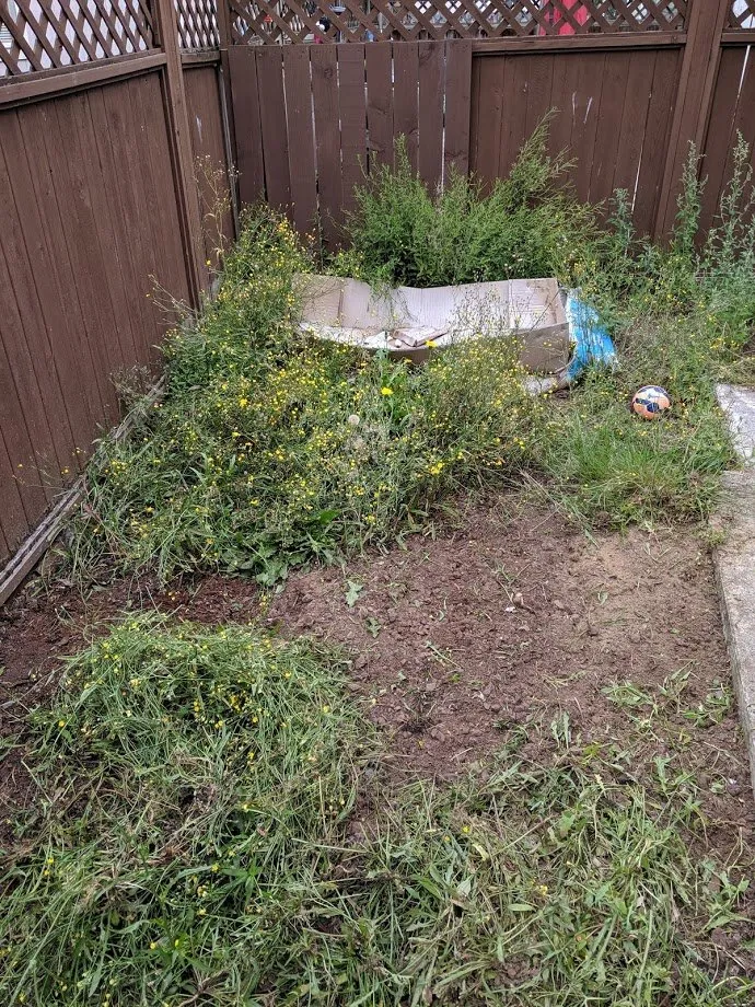 Top-rated outdoor landscaping in Lake Stevens, WA by Structured Landscape