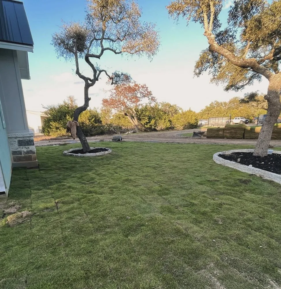 Reliable lawn care service for beautiful yards in San Antonio, TX by Struere Construction