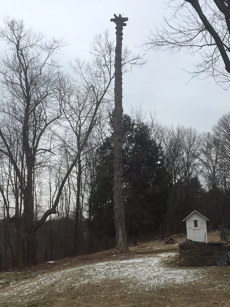 Trusted landscape design in Stroudsburg, PA - Strunk Tree Service