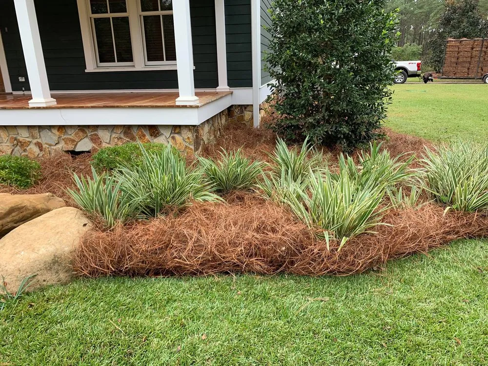 Affordable yard cleanup service in Thomasville, GA - Strut Lawn