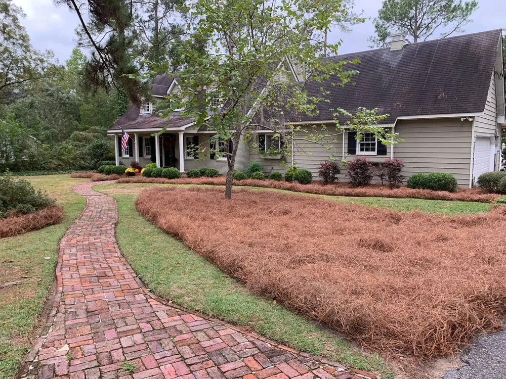 Reliable landscaping services near you in Thomasville, GA by Strut Lawn