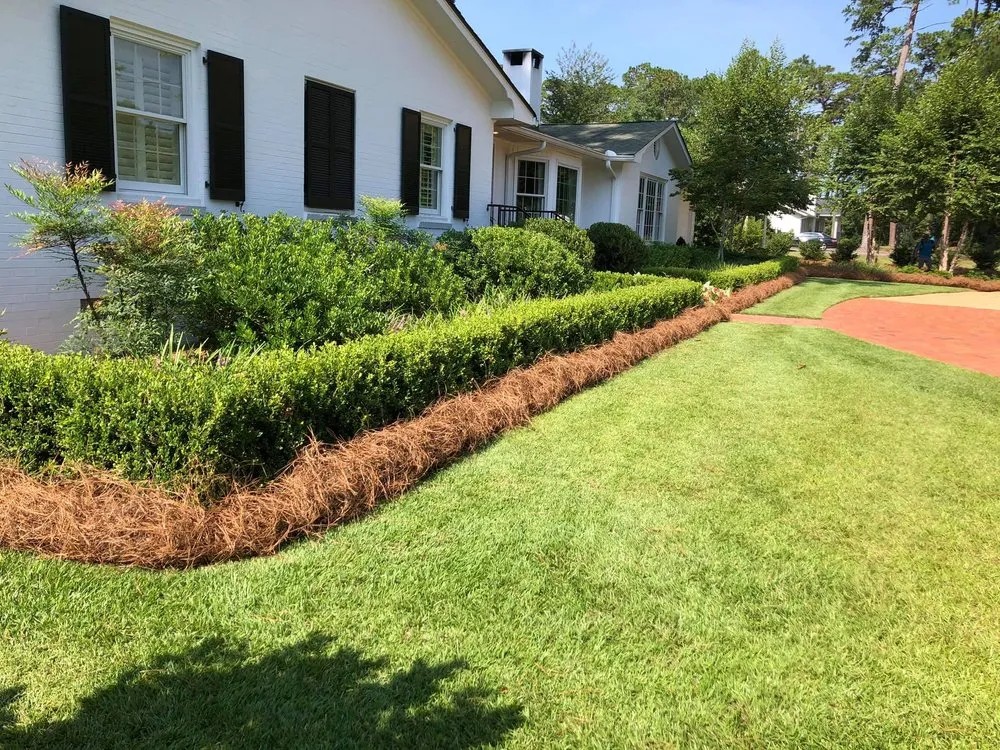 Affordable landscape installation with custom design in Thomasville, GA by Strut Lawn