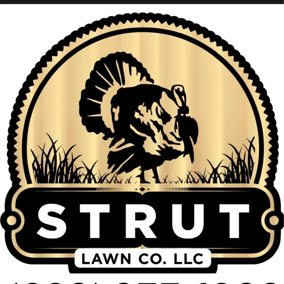 Top-rated lawn care service in Thomasville, GA - Strut Lawn
