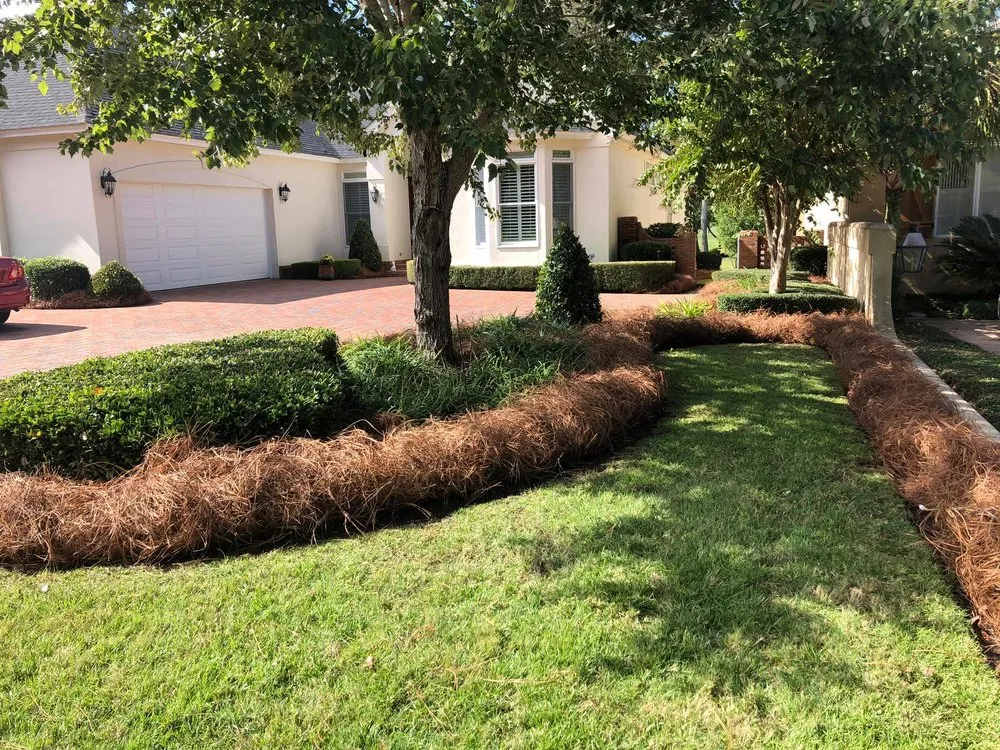 Top-rated outdoor landscaping in Thomasville, GA - Strut Lawn