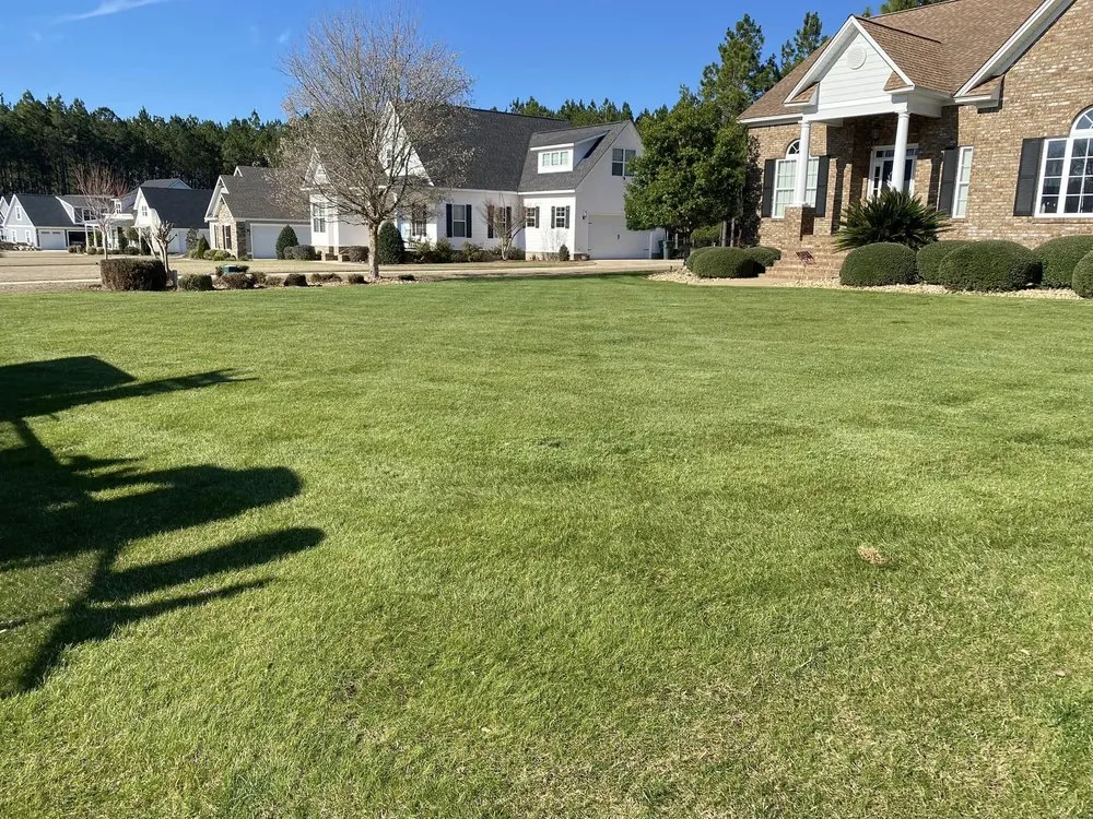Professional landscaping services in Thomasville, GA - Strut Lawn