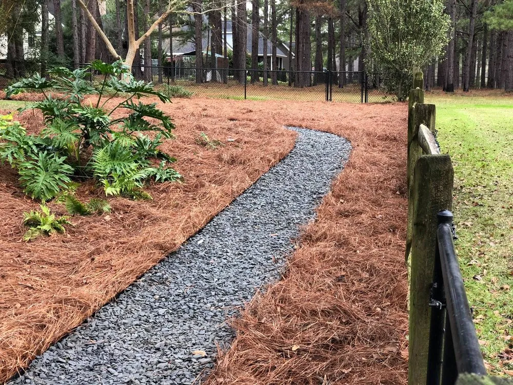 Reliable lawn mowing service in Thomasville, GA - Strut Lawn