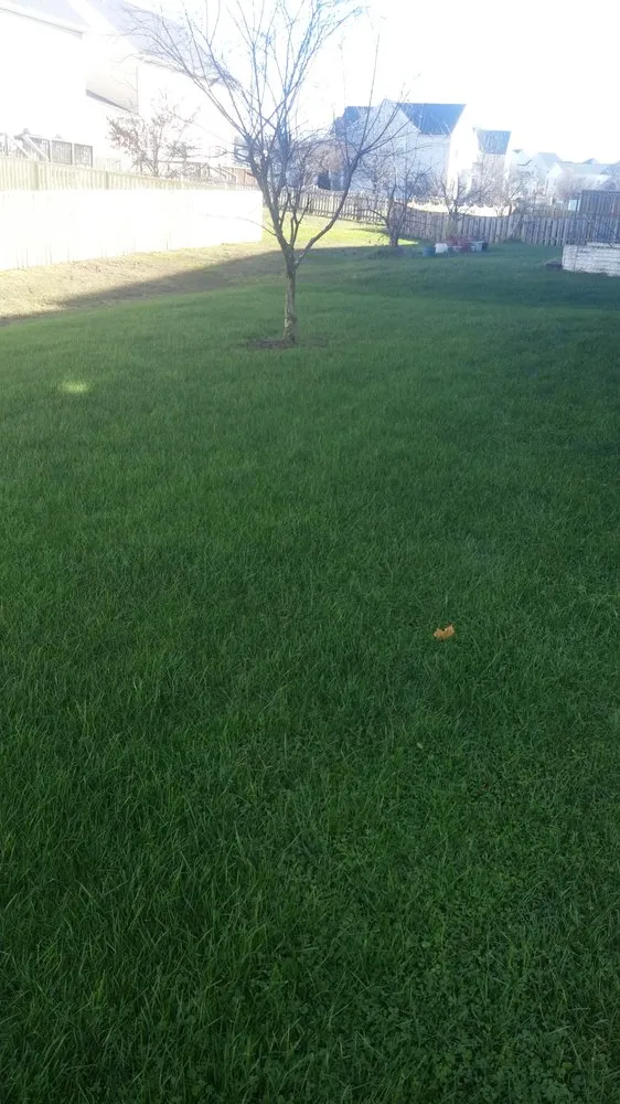 Professional landscape installation in Haymarket, VA - Strutter Turf