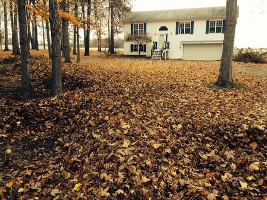 Stryker Lawn Service