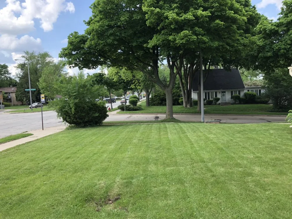 Reliable landscape design in Milwaukee, WI - STS Lawn Care & Snow Removal