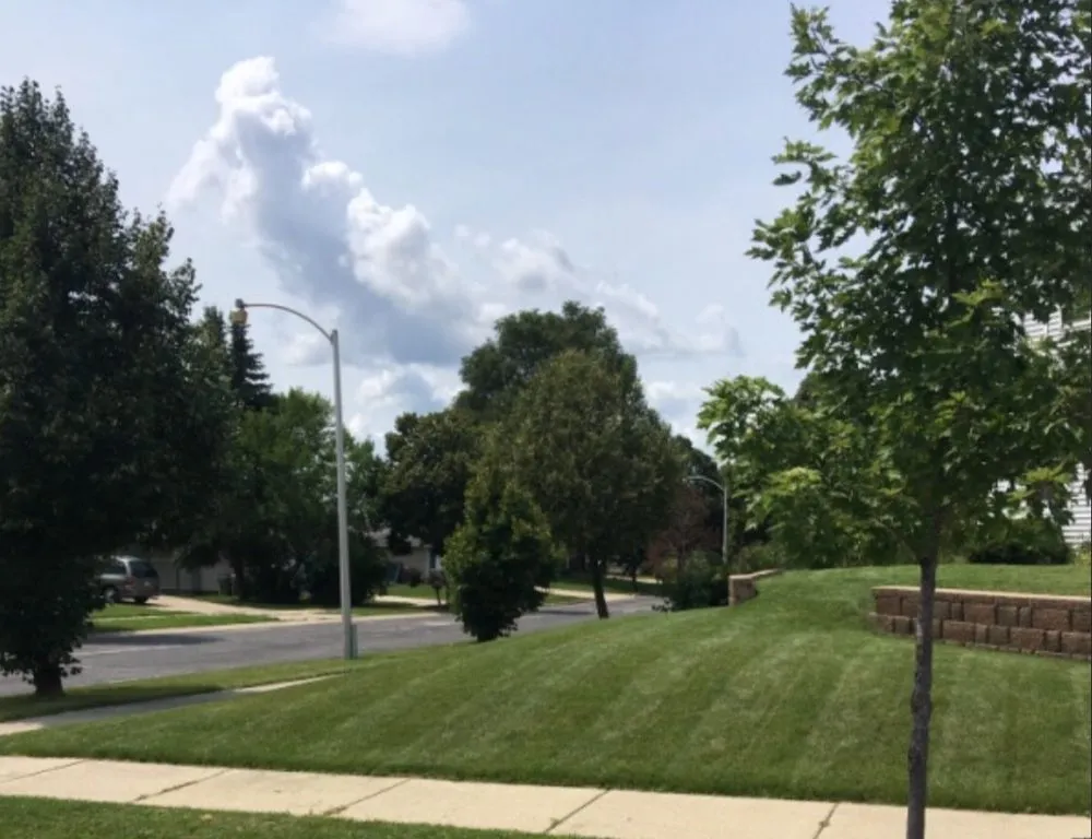 Affordable yard cleanup service for residential properties across Milwaukee, WI - STS Lawn Care & Snow Removal