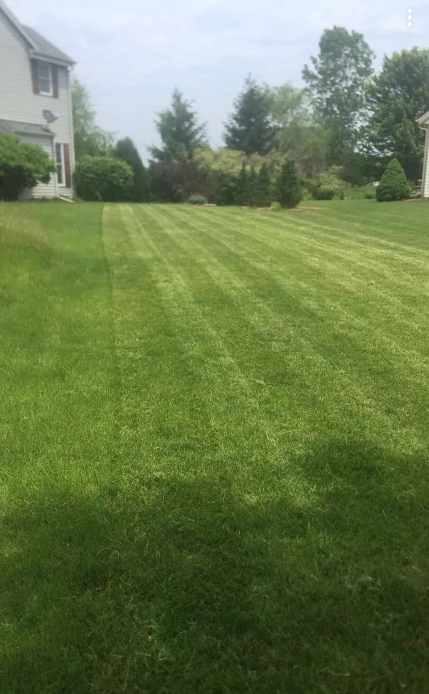 Top-rated yard cleanup service with custom design in Milwaukee, WI by STS Lawn Care & Snow Removal