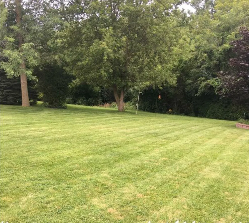 Affordable yard cleanup service in Milwaukee, WI by STS Lawn Care & Snow Removal