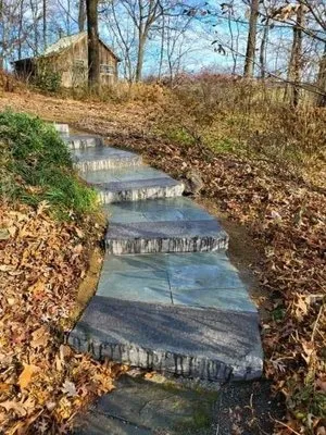 Stuart and Sons Quality Lawn Care