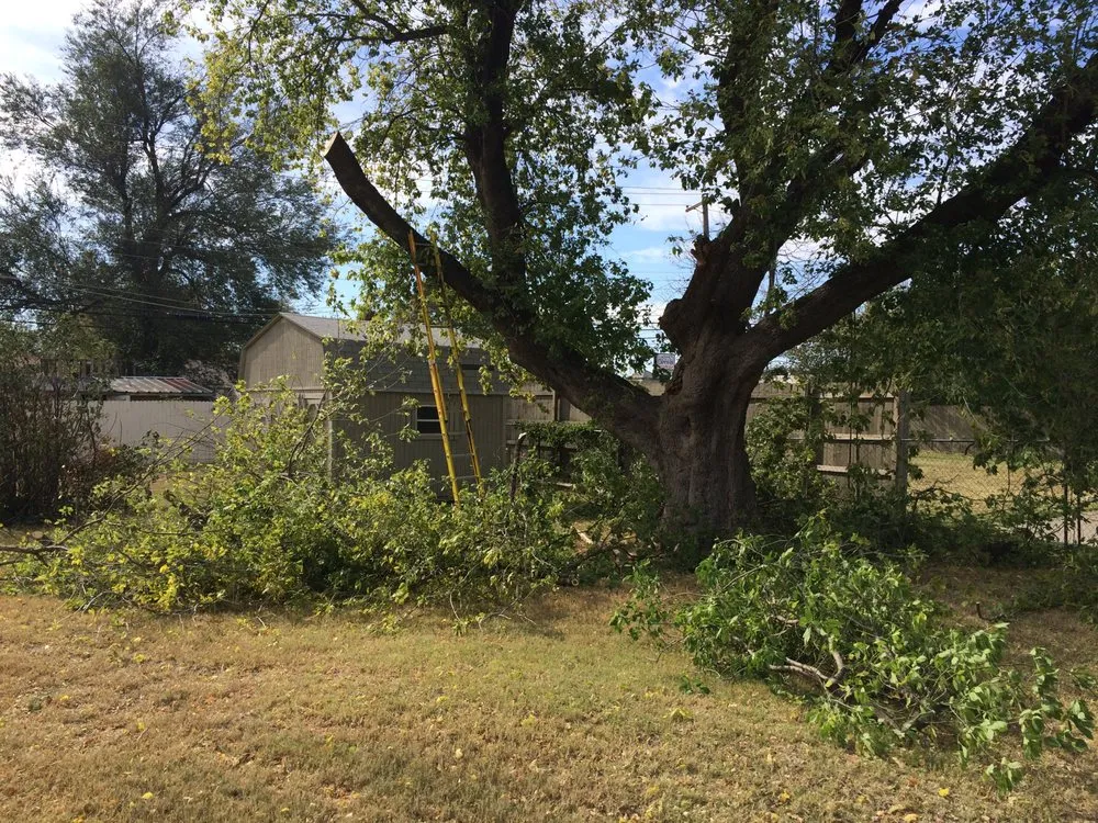 Professional yard maintenance near you across Norman, OK - Stuart Lawn & Tree Service