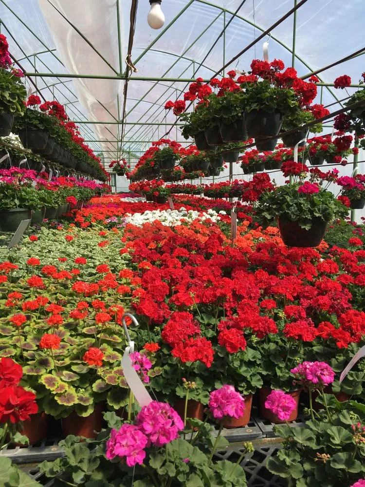 Expert residential landscaping in Norman, OK - Stuart Lawn & Tree Service