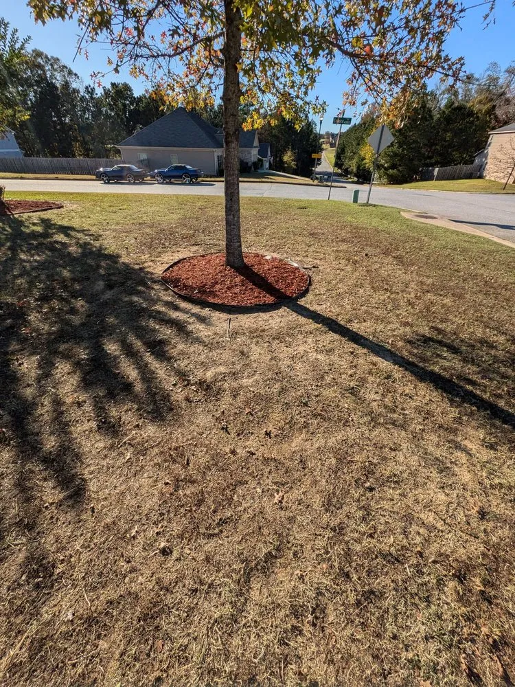 Expert yard maintenance experts serving Phenix City, AL - Stuart Lawn Care Solutions