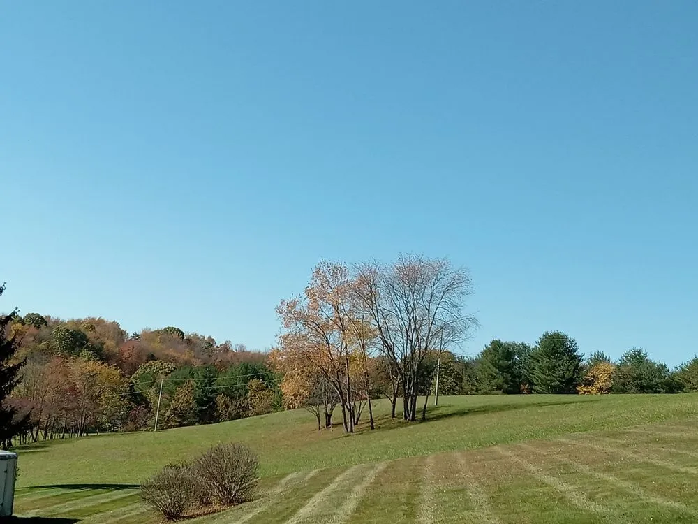 Trusted yard cleanup service with custom design in Newark, OH by Stuart's A1 from Day1 Lawncare and Landscaping