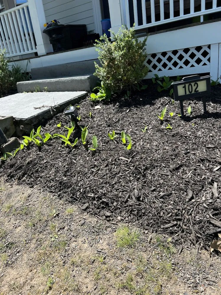 Expert landscape installation in Boston, MA - Stubborn Scapes Landscaping