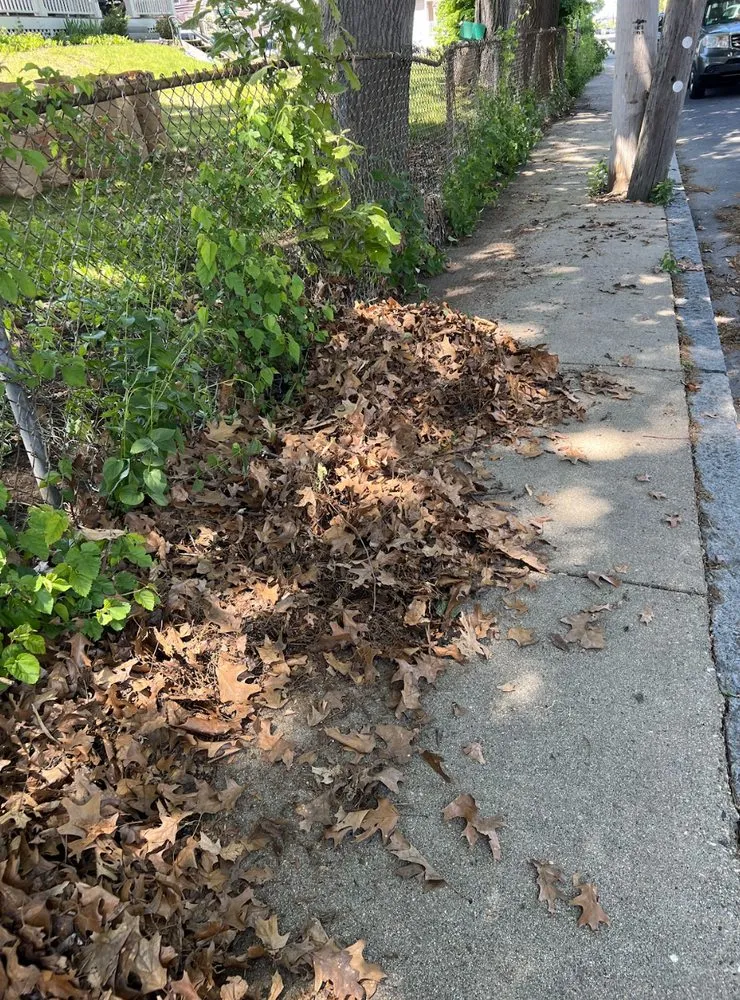 Local garden landscaping for beautiful yards in Boston, MA by Stubborn Scapes Landscaping