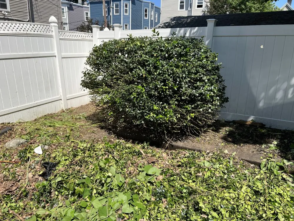 Trusted outdoor landscaping for outdoor upgrades in Boston, MA by Stubborn Scapes Landscaping