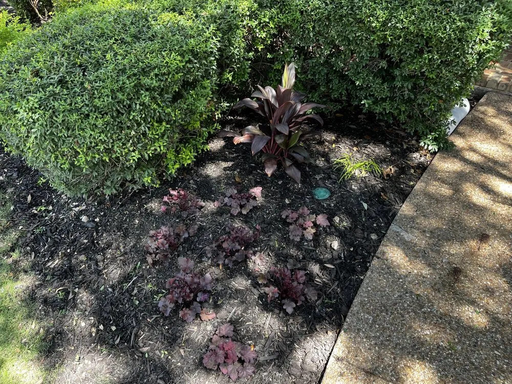 Local yard maintenance for residential properties across Tom Bean, TX - Stubbs Home & Garden