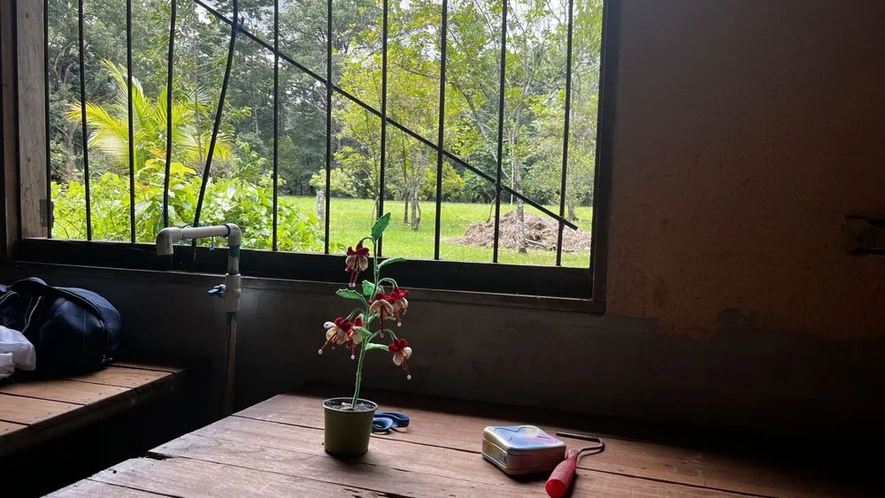 Local yard maintenance in Tom Bean, TX by Stubbs Home & Garden