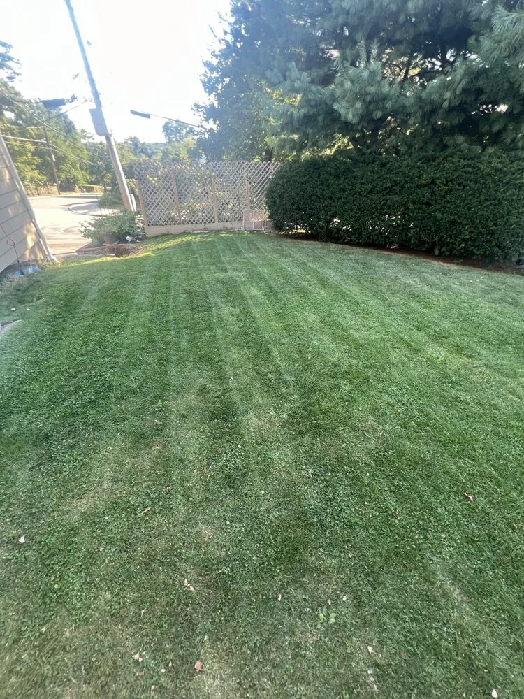 Affordable yard cleanup service experts serving Newton, MA - Stubbs Mowing