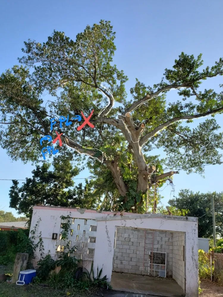 Expert outdoor landscaping experts serving Miami, FL - Stuckey Lawn and Maintenance